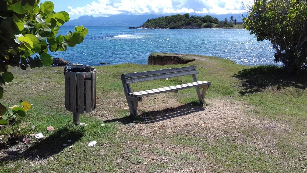 Le Studio Oncle Sam - Acces Piscine Et Plage Le Gosier  Zewnętrze zdjęcie